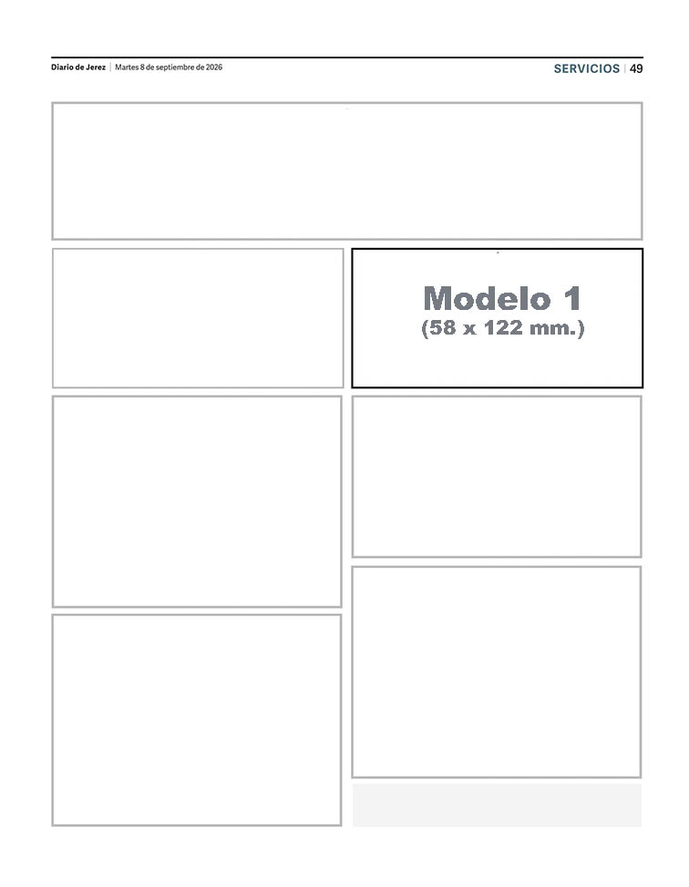 Formato Modelo 1